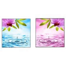  Vászonkép, 2 db-os készlet, MEDIA, flori1, 70 x 70 cm grafika, keretezett kép