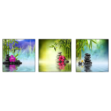  Vászonkép, 3 db-os szett, MÉDIA, virágok1, 60 x 60 cm grafika, keretezett kép