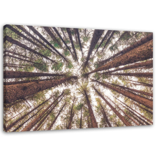  Vászonkép, Fa erdő természet - 100x70 cm tapéta, díszléc és más dekoráció