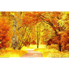  Vászonkép, MÉDIA, Rézerdő, 105 x 70 cm grafika, keretezett kép