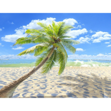  Vászonkép, MÉDIA, Strand, pálmafa és árnyéka, 105 x 70 cm grafika, keretezett kép