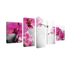  Vászonkép szett 5 darabos Orchidea ciklama 1 tapéta, díszléc és más dekoráció