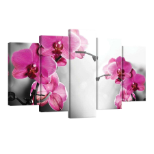 Vászonkép szett 5 darabos Orchidea ciklámen 1 tapéta, díszléc és más dekoráció