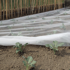  Védőháló rovarok ellen, Biocontrol rovarháló 18 g/m2 (2x100 méter) szúnyogháló