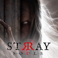 Versus Evil Stray Souls (Digitális kulcs - PC) videójáték