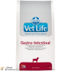 VET LIFE Natural Diet Dog Gastrointestinal 2kg