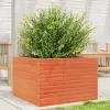  Viaszbarna tömör fenyőfa kerti virágláda 70x70x45,5 cm