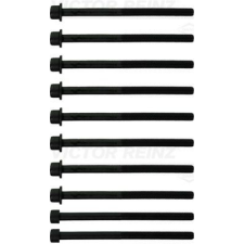 VICTOR REINZ hengerfejcsavar-készlet VICTOR REINZ 14-10383-01 autóalkatrész