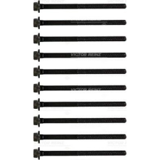 VICTOR REINZ Hengerfejcsavar készlet VICTOR REINZ 14-32169-01 kormányvezérlő és kiegészítői