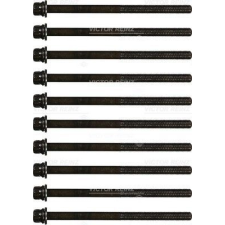 VICTOR REINZ Hengerfejcsavar készlet VICTOR REINZ 14-32287-01 kormányvezérlő és kiegészítői