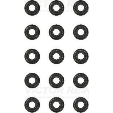 VICTOR REINZ Tömítéskészlet, szelepszár VICTOR REINZ 12-31306-10 autóalkatrész