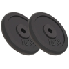 vidaXL 2 db súlyzótárcsa 20 kg