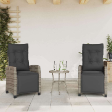 vidaXL Dönthető Kerti Szék - 2 db Szett - Szürke Polyrattan kerti bútor