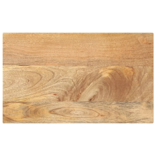 vidaXL tömör mangófa téglalap alakú asztallap 50x30x2,5 cm bútor