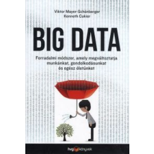 Viktor Mayer-Schönberger, Kenneth Cukier Big Data társadalom- és humántudomány