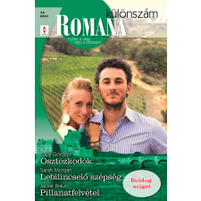 Vinton Osztozkodók, Lebilincselõ szépség, Pillanatfelvétel regény