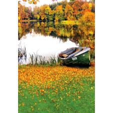 Vinyl háttér fotózáshoz. Őszi fotó háttér 150cm(sz) x 210cm(m) Agc3230 tapéta, díszléc és más dekoráció