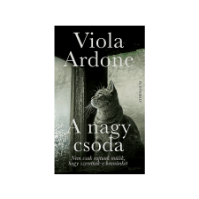  Viola Ardone - A nagy csoda irodalom