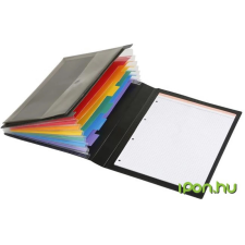 VIQUEL Manager Rainbow Class Harmonika mappa, PP, 6 rekeszes, fekete mappa