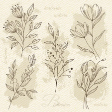 Virág Beige Illustration szalvéta 20 db-os 33x33 cm party kellék