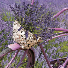 Virág Levendula Bicycle szalvéta 20 db-os 33x33 cm party kellék