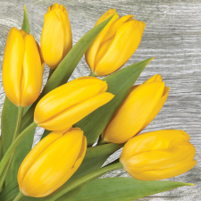 Virág Sárga tulipán On Wood szalvéta 20 db-os 33x33 cm party kellék
