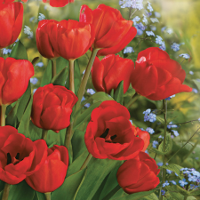 Virág Tulipán Bunch szalvéta 20 db-os 33x33 cm party kellék