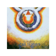 Virgin David Sylvian - Gone To Earth (Cd) rock / pop