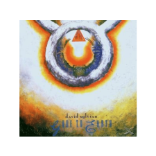 Virgin David Sylvian - Gone To Earth (CD) rock / pop