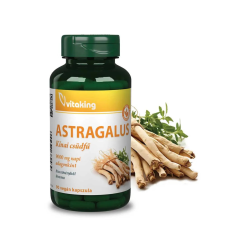 Vitaking Astragalus 9000mg/napi adag (90 ) vegán kapszula (Kínai csüdfű) vitamin és táplálékkiegészítő