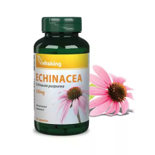 VitaKing Echinacea 250 mg 90 kapszula vitamin és táplálékkiegészítő