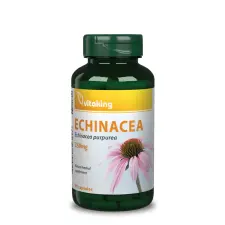 VitaKing Echinacea (Bíbor Kasvirág) Kivonat - 90 db reform élelmiszer