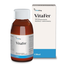 Vitaking VitaFer Mikrokapszulás Vas Szirup 120 ml vitamin és táplálékkiegészítő
