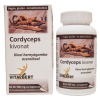 Vitalbert Cordyceps  kivonat kapszula 60db