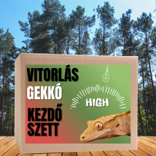  Vitorlás gekkó HIGH kezdőcsomag - bébi gekkóknak hüllőfelszerelés