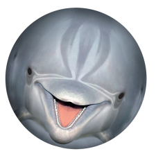  Víz alatti labda delfin nel játéklabda