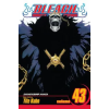 Viz Media Bleach, Vol. 43 | Tite Kubo