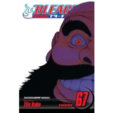 Viz Media Bleach, Vol. 67 | Tite Kubo egyéb könyv