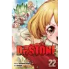 Viz Media Dr. STONE, Vol. 22 | Riichiro Inagaki,Boichi