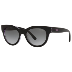 Vogue VO5429S 299211