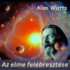 Voiz Az elme felébresztése
