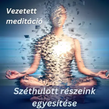 Voiz Széthullott részeink egyesítése egyéb e-könyv