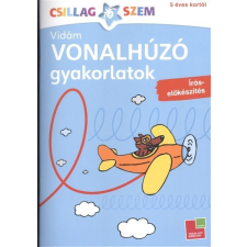 Vonalhúzó gyakorlatok: Írás előkészítés - kék /Csillgaszem gyermek- és ifjúsági könyv