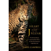 W. W. Norton &amp; Company Heart of the Jaguar (Kniha)