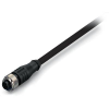 WAGO 756-5301/030-050 Érzékelő-/működtető összekötő, konfekcionált M12 Alj, egyenes 5.00 m Pólusszám: 3 10 db (756-5301/030-050)