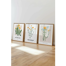  Wallity Dekoratív festmény szett (3 darabos) Többszínű Ç-300481 - 5070 grafika, keretezett kép