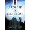  Walter Tevis - A Földre esett férfi