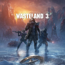  Wasteland 3 (EU) (Digitális kulcs - PC) videójáték