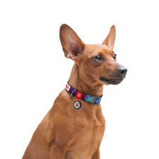 WAU DOG WAUDOG collar NASA21 - nyakörv (QR kódos, NASA21 dizájn, müa.csatt) kutyák részére (24-40cm/20mm) M nyakörv, póráz, hám kutyáknak