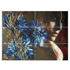 Webba Dekor csempe, Liverpool Ysios Rocio Negro, 6 fényes 25 x 50 cm csempe